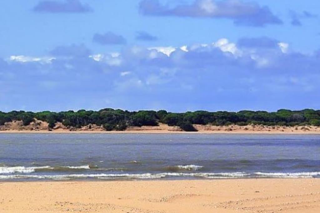 桑卢卡尔-德巴拉梅达Sanlucar-Centro公寓 外观 照片